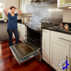 Diagnose Your Wolf Oven Before Thanksgiving - Sub-Zero Wolf Repair